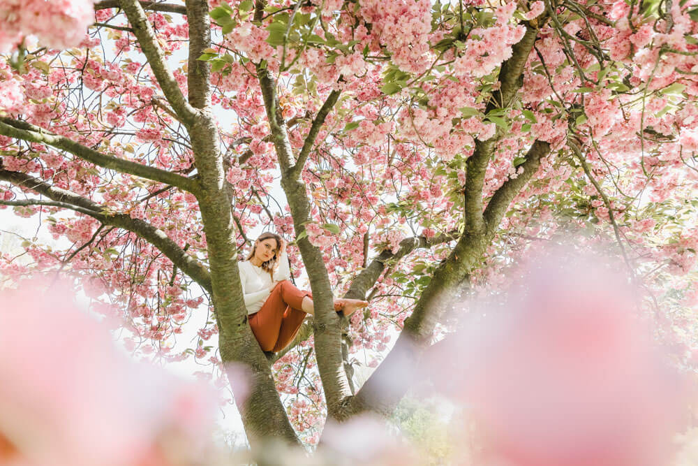 Fotoshooting zur Kirschblüte in Rostock im Frühling. Junge Frau sitzt im rosa Kirschblüten-Baum.