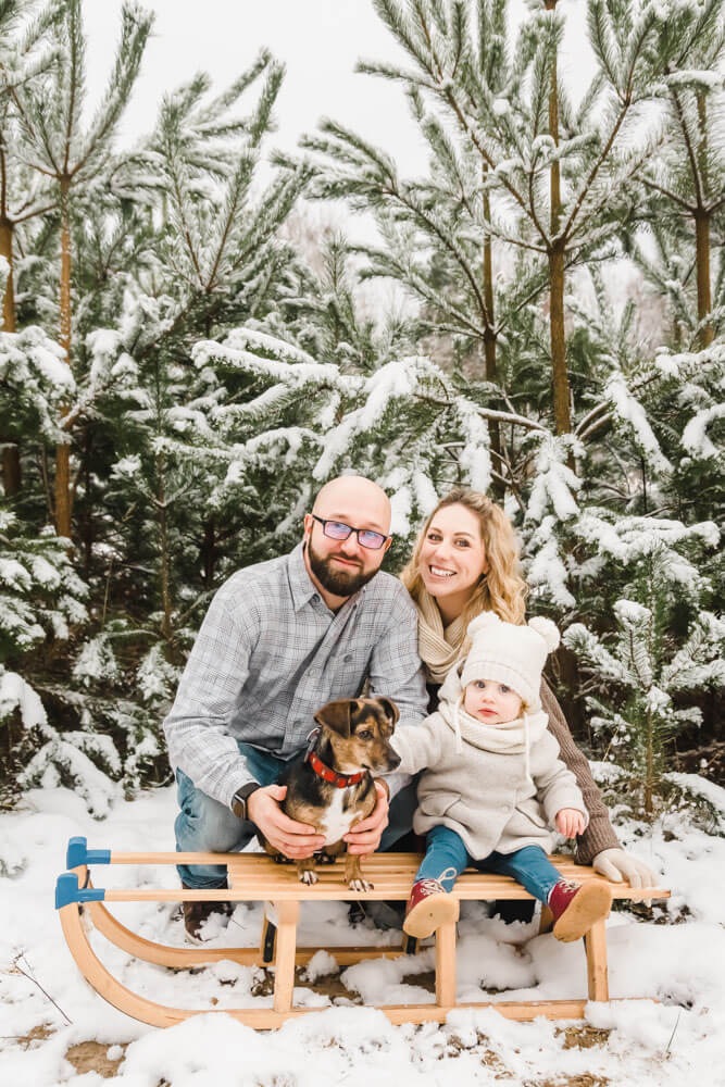 Familienfotos im Schnee in Rostock auf einem Schlitten mit Hündin