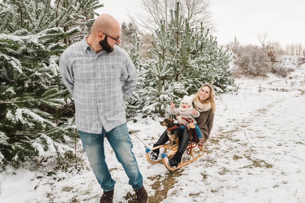 Papa zieht Tochter, Mama und Hündin auf einem Schlitten durch den Schnee im Winter beim Fotoshooting in Rostock