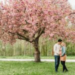 Babybauch-Fotoshooting zur Kirschblüte mit Fotograf aus Rostock