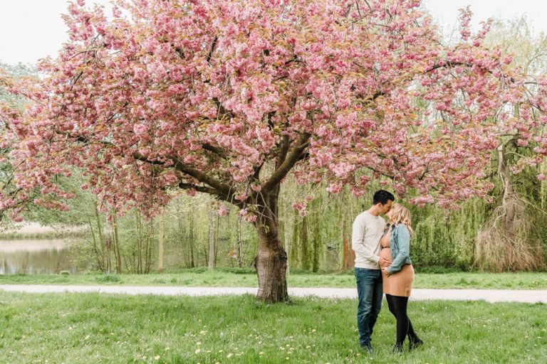 Babybauch-Fotoshooting zur Kirschblüte mit Fotograf aus Rostock