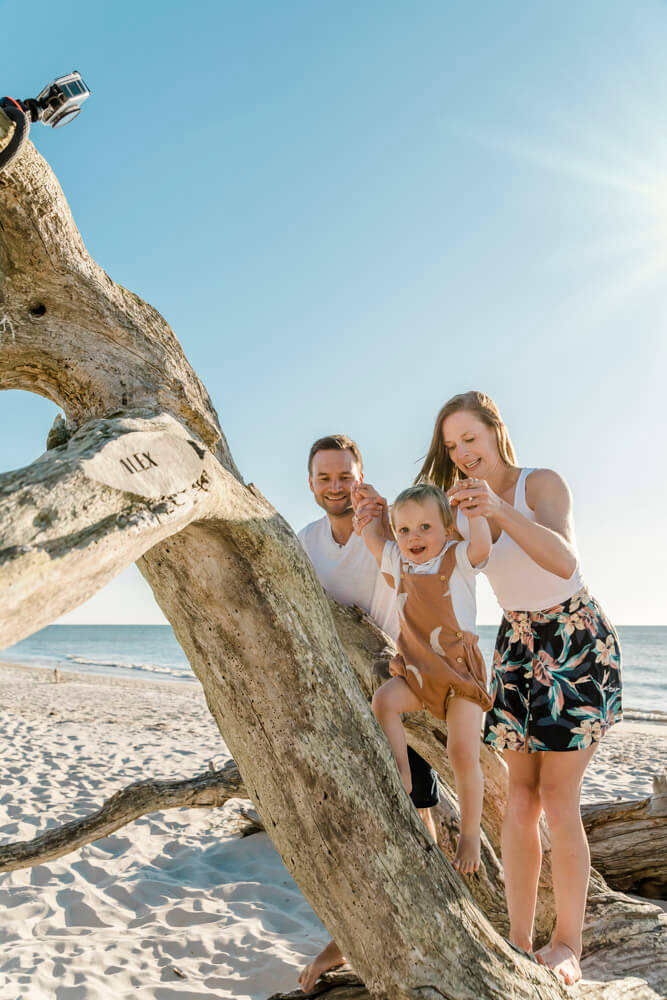 Ein umgestürzter Baum ist eine super Gelegenheit zum Klettern und nebenbei entstehen wunderschöne Familienfotos am Meer und am Strand in Prerow.