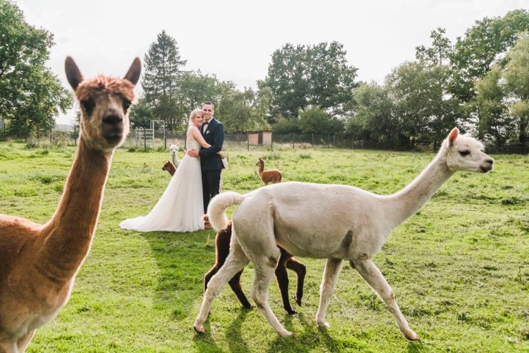 Heiraten im Gut Luckwitz (Ludwigslust-Parchim)