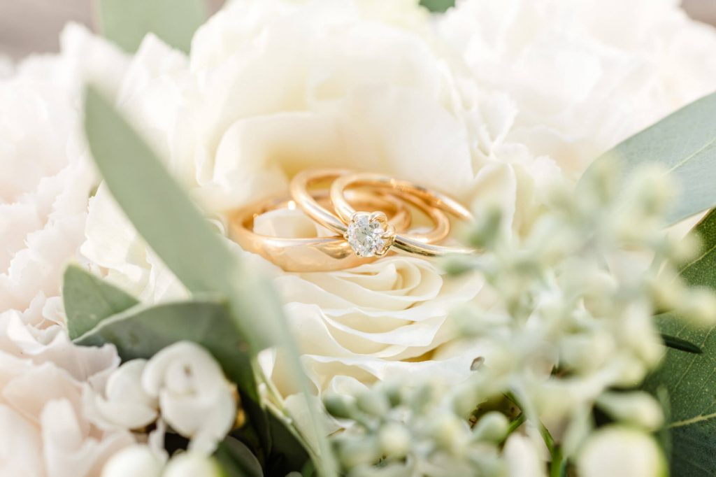 Goldene Ringe auf weißer Rose im Fokus